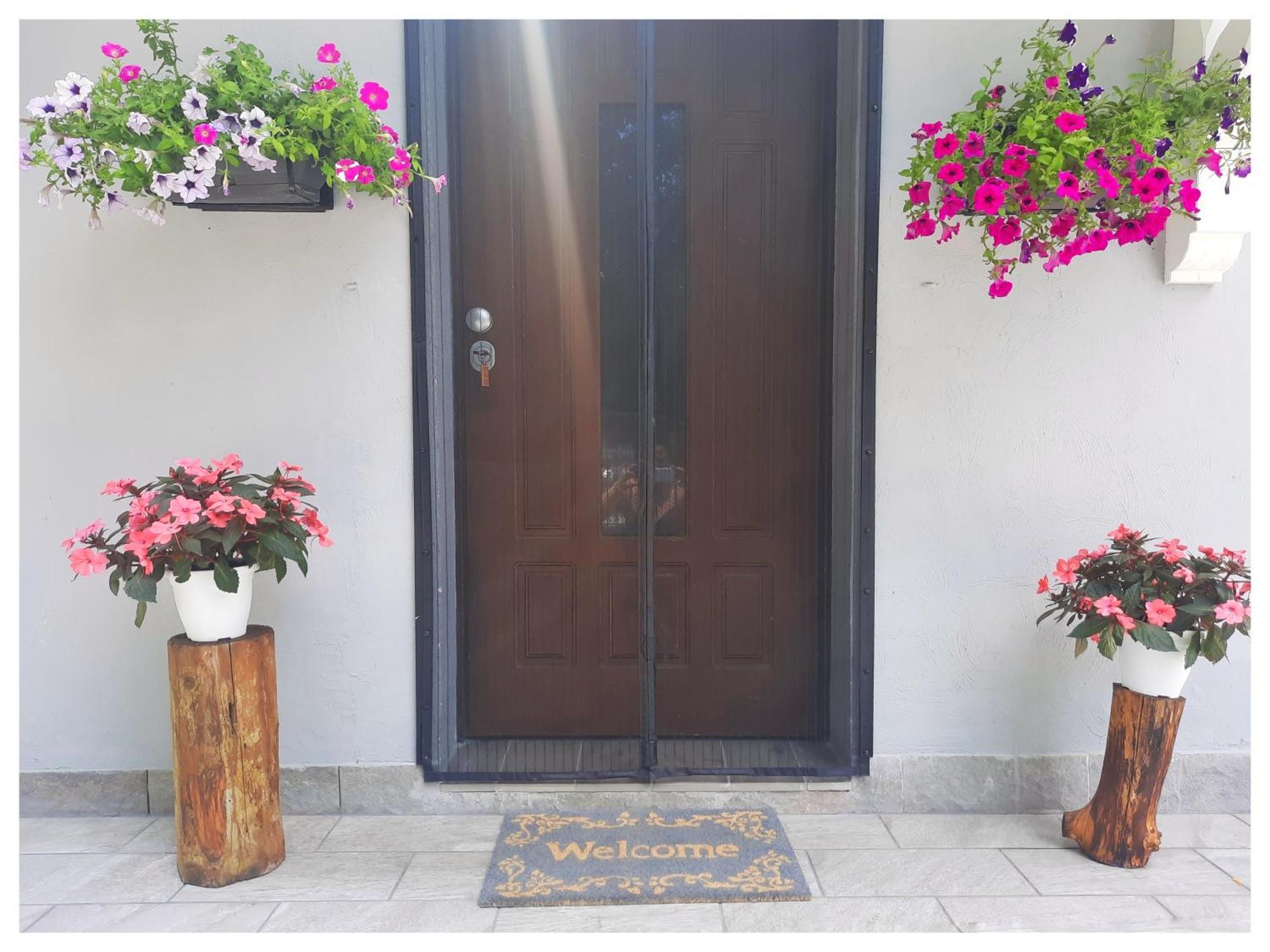 La Casina Bed & Breakfast Trecasali ภายนอก รูปภาพ